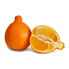 Апельсин Миннеола